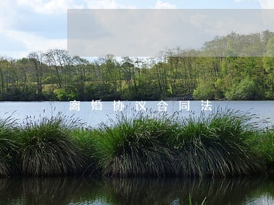 离婚协议合同法 离婚协议合同法