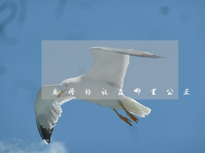 离婚协议在哪里公正 离婚协议在哪里公正