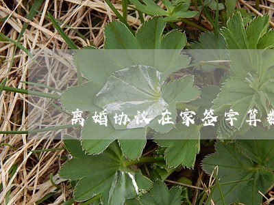 离婚协议在家签字算数吗 离婚协议在家签字算数吗