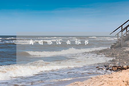 离婚协议女秘书 离婚协议女秘书