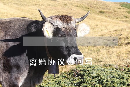 离婚协议如何写