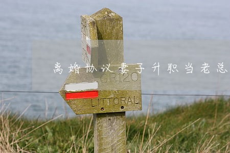 离婚协议妻子升职当老总 离婚协议妻子升职当老总