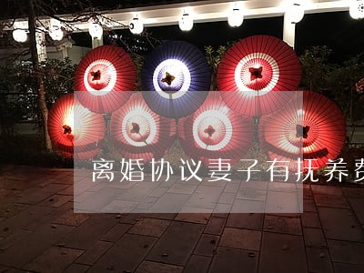 离婚协议妻子有抚养费吗 离婚协议妻子有抚养费吗