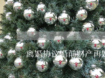 离婚协议婚前财产再婚 离婚协议婚前财产再婚