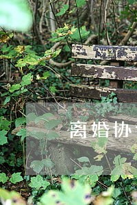 离婚协议字体要求 离婚协议字体要求