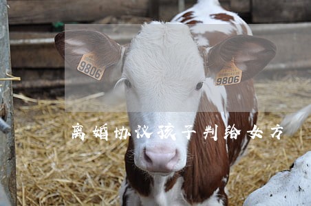 离婚协议孩子判给女方 离婚协议孩子判给女方