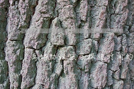 离婚协议孩子探视时间约定 离婚协议孩子探视时间约定