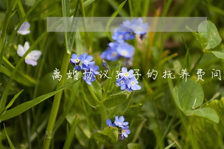 离婚协议孩子的抚养费问题