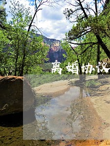 离婚协议家庭财产约定 离婚协议家庭财产约定