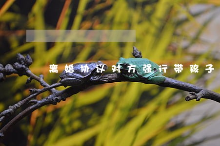 离婚协议对方强行带孩子 离婚协议对方强行带孩子