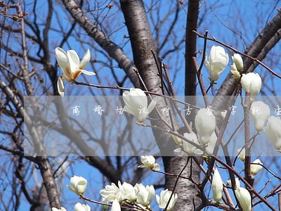 离婚协议对方签字就生效 离婚协议对方签字就生效