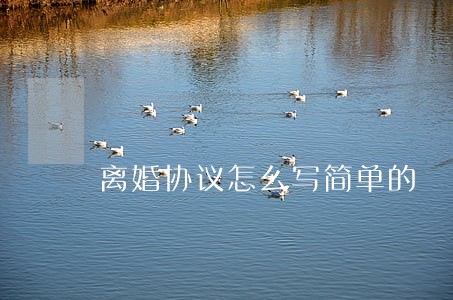 离婚协议怎么写简单的 离婚协议怎么写简单的