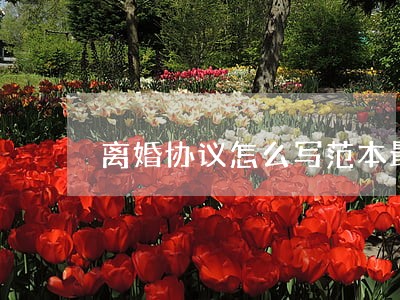 离婚协议怎么写范本最好 离婚协议怎么写范本最好