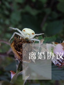 离婚协议房产分隔协议书 离婚协议房产分隔协议书