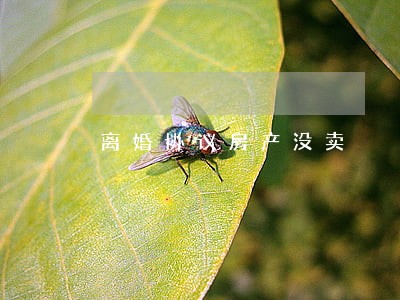 离婚协议房产没卖 离婚协议房产没卖