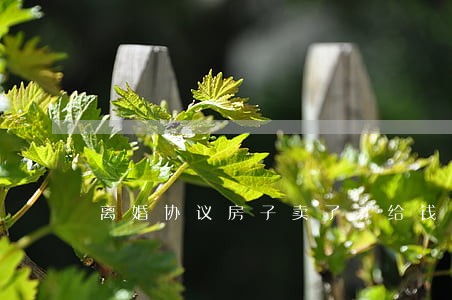 离婚协议房子卖了才给钱 离婚协议房子卖了才给钱