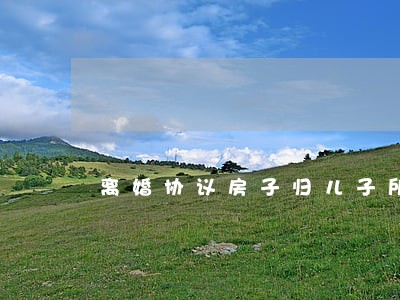离婚协议房子归儿子所有生效么 离婚协议房子归儿子所有生效么