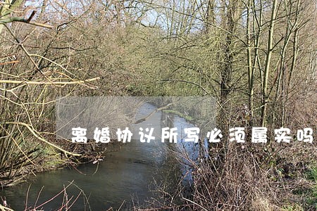 离婚协议所写必须属实吗 离婚协议所写必须属实吗
