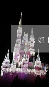 离婚协议执行申请书范本 离婚协议执行申请书范本