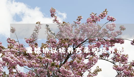 离婚协议抚养方承担抚养费 离婚协议抚养方承担抚养费