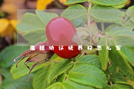 离婚协议抚养权怎么写 离婚协议抚养权怎么写