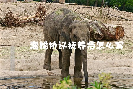 离婚协议抚养费怎么写 离婚协议抚养费怎么写