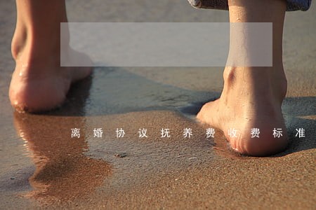 离婚协议抚养费收费标准 离婚协议抚养费收费标准