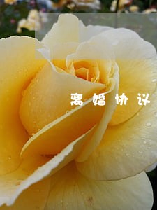 离婚协议抚养费能反悔吗 离婚协议抚养费能反悔吗