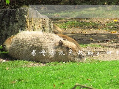 离婚协议无效的6种情形 离婚协议无效的6种情形