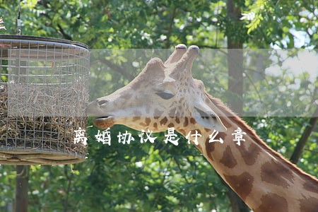 离婚协议是什么章 离婚协议是什么章