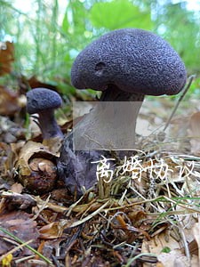 离婚协议是否可以改 离婚协议是否可以改