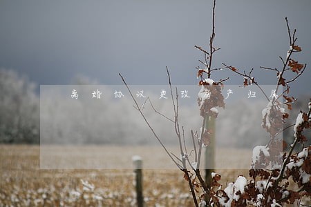 离婚协议更改房产归属 离婚协议更改房产归属