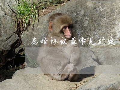 离婚协议最常见约定 离婚协议最常见约定