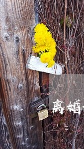 离婚协议有小孩的怎么写 离婚协议有小孩的怎么写