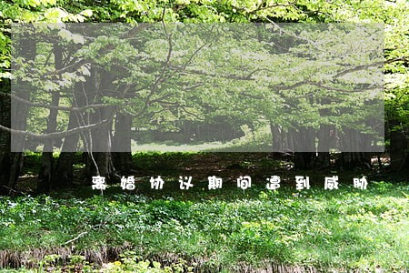 离婚协议期间遭到威胁 离婚协议期间遭到威胁