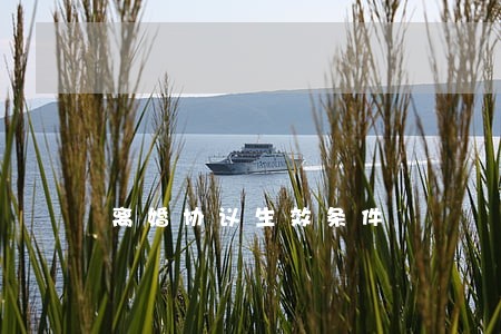 离婚协议生效条件 离婚协议生效条件