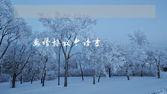 离婚协议申请书 离婚协议申请书