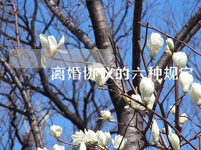 离婚协议的六种规定 离婚协议的六种规定