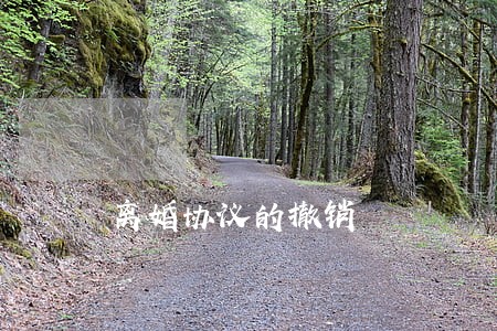 离婚协议的撤销 离婚协议的撤销