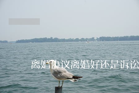 离婚协议离婚好还是诉讼离婚好 离婚协议离婚好还是诉讼离婚好