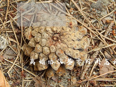 离婚协议签字时间怎么写 离婚协议签字时间怎么写