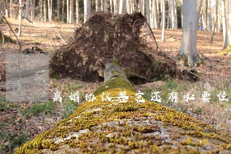 离婚协议签完还有必要住一块吗 离婚协议签完还有必要住一块吗