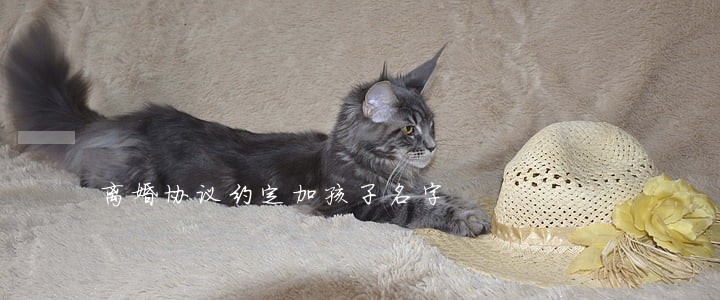 离婚协议约定加孩子名字 离婚协议约定加孩子名字