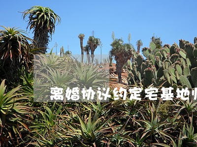 离婚协议约定宅基地归属 离婚协议约定宅基地归属