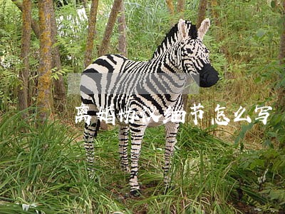 离婚协议细节怎么写 离婚协议细节怎么写