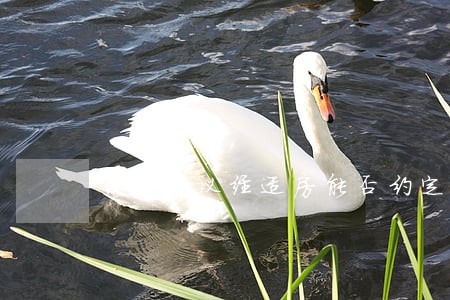 离婚协议经适房能否约定 离婚协议经适房能否约定