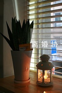 离婚协议给了女方有效吗 离婚协议给了女方有效吗