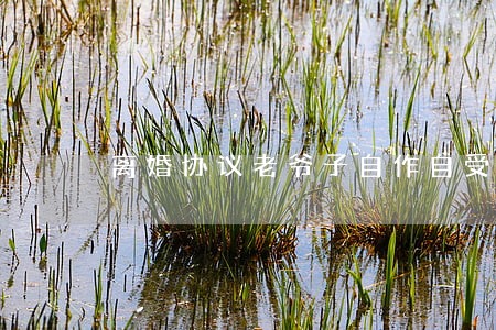 离婚协议老爷子自作自受 离婚协议老爷子自作自受