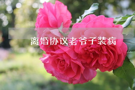 离婚协议老爷子装病 离婚协议老爷子装病