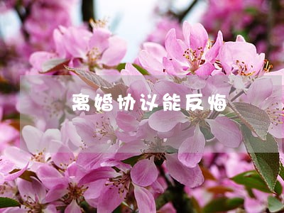 离婚协议能反悔 离婚协议能反悔